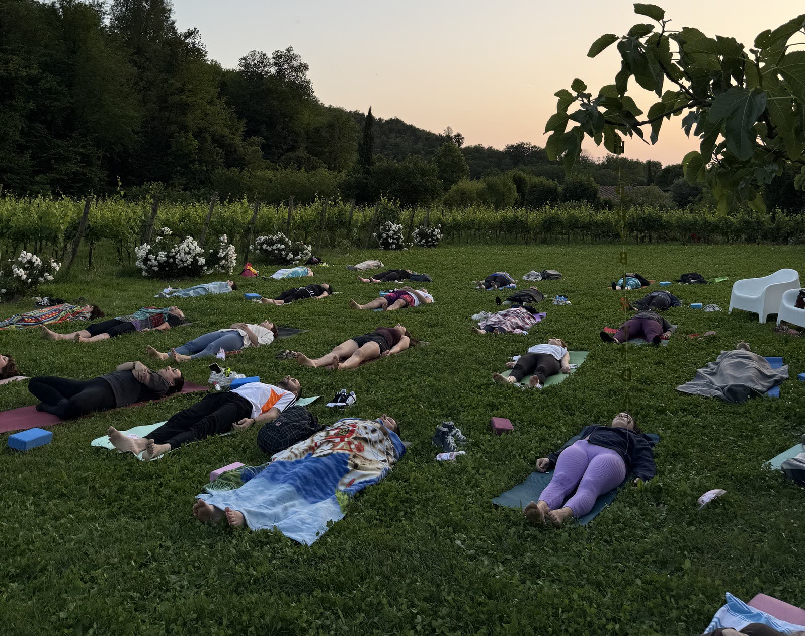 Un bagno sonoro all'aperto al tramonto: i partecipanti sdraiati sui tappetini tra le vigne